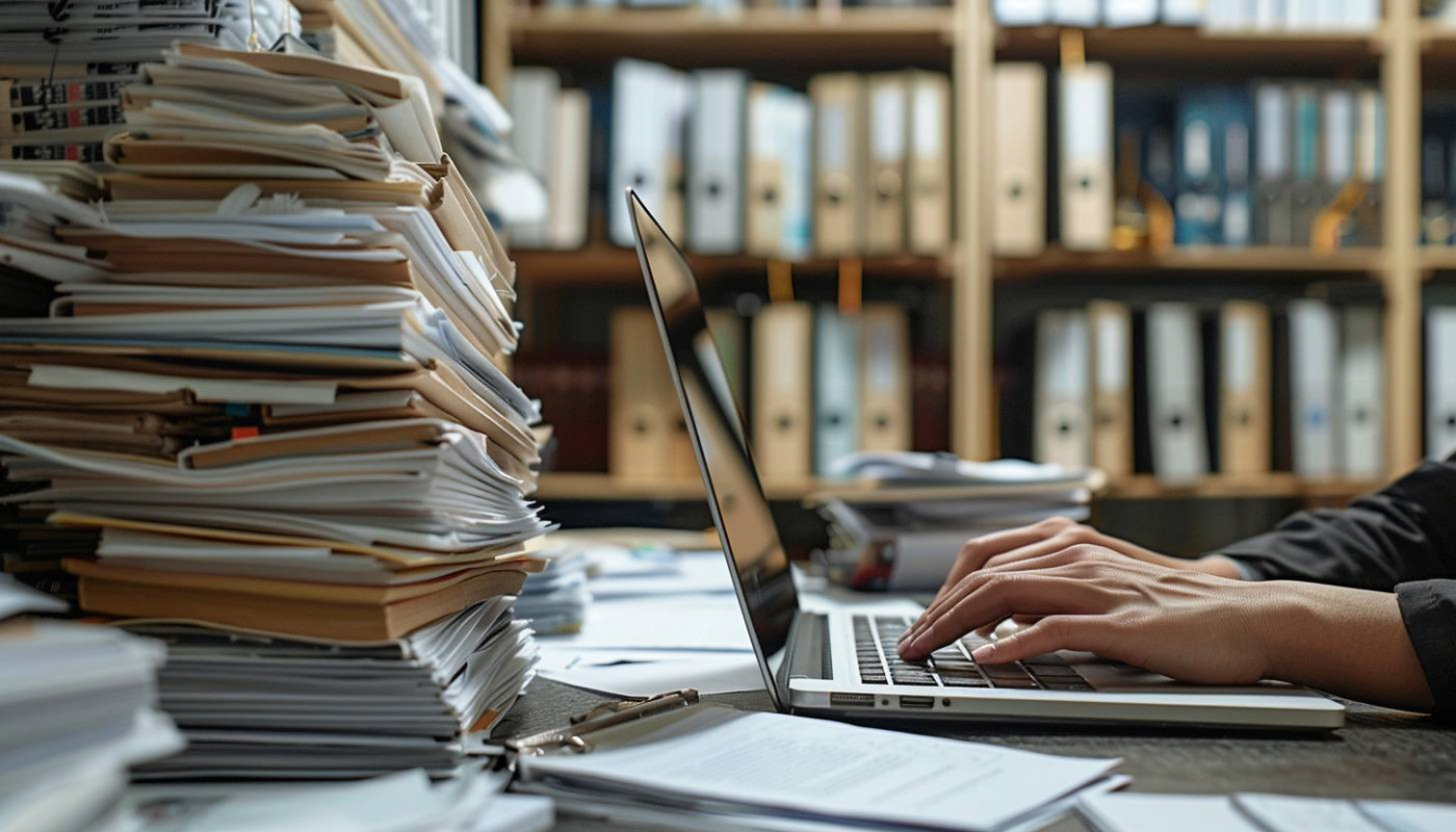 Comparative Review Of State-specific LLC Formation Processes